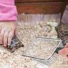 1pc Stainless Steel Reptile Sand Shovel Filtering Mesh Litter Scooper Substrate Cleaner Fine Bedding Sifter Metal Scoop Tool