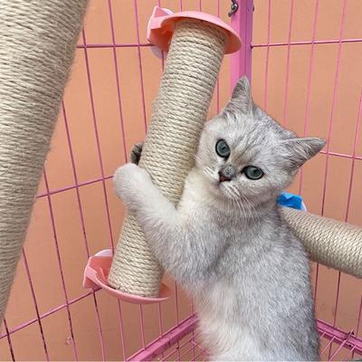 50CM Height Cat Scratching Post Scratch Resistant Non-Debris Hanging Cage Scratcher Easy To Install Wear-Resistant Cat Climber