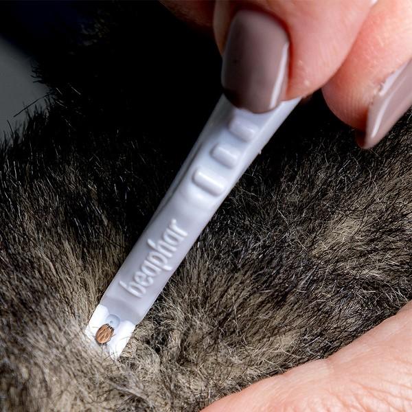 Beerpa tick removal tweezers