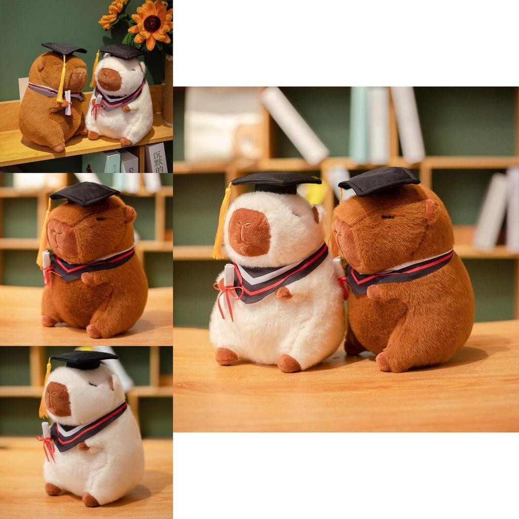 Cute Capybara Plush Toy Doctor Doll With Graduation Hat Soft Stuffed Animal Gift For Students
