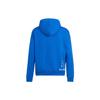 Adidas Originals Trefoil X Chang Csun Yuk X Su Yiming Triple Collaboration Hoodie with Skateboard Comic Pocket Men Hoodie Blue IK4310