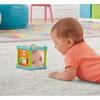 Jouet d'activité cube animal Fisher-Price - BFH80 - Mixte - A partir de 12 mois - Coloré