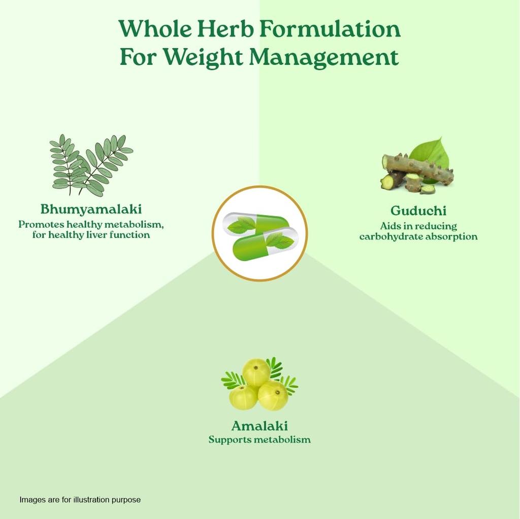 ORGANIC INDIA Weight Balance 60 Veg Kapslí Pro Zdravý Metabolismus A Vyváženou Energii V Rostlinném Složení