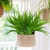 1 Pc 14 Leaves Spring Grass For Christmas Wreath Home Outdoor Garden Decor Wedding Arch Accessories Scrapbook Artificial Plants