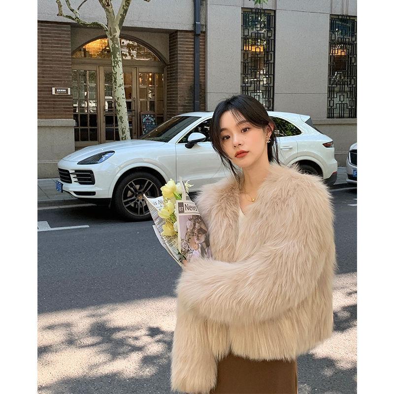 Autumn and Winter Short Coat Female Fashion Celebrity Looking Thin and Age-reducing Small Man Fluffy Imitation Fur Top