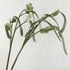 Realistic Hyacinth Bean Artificial Vegatable Decoration Lifelike Simulation Bean Pods for Kitchen Restaurant Home Decor