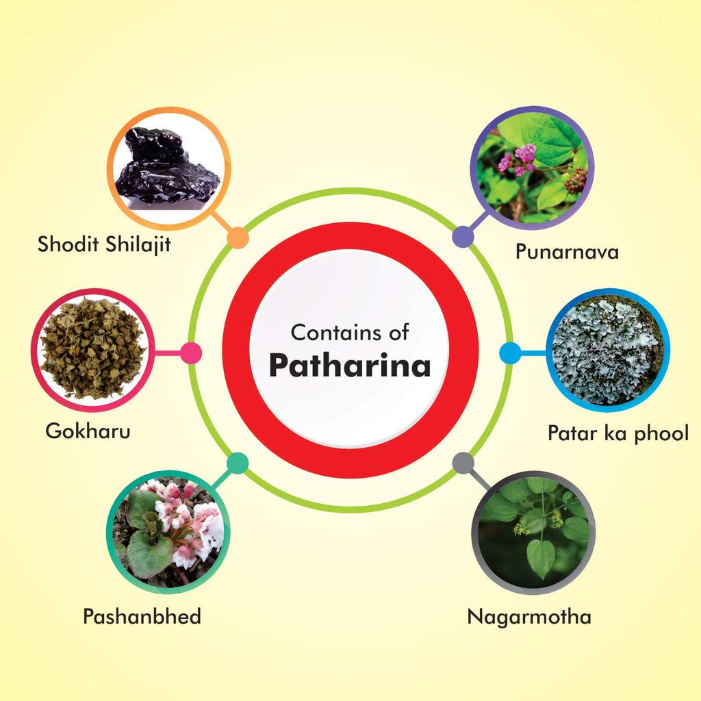 Baidyanath Asli Ayurved Pathrina 50 Tablets Pack of 2 Ayurvedic Herbal Kidney & Urinary Support