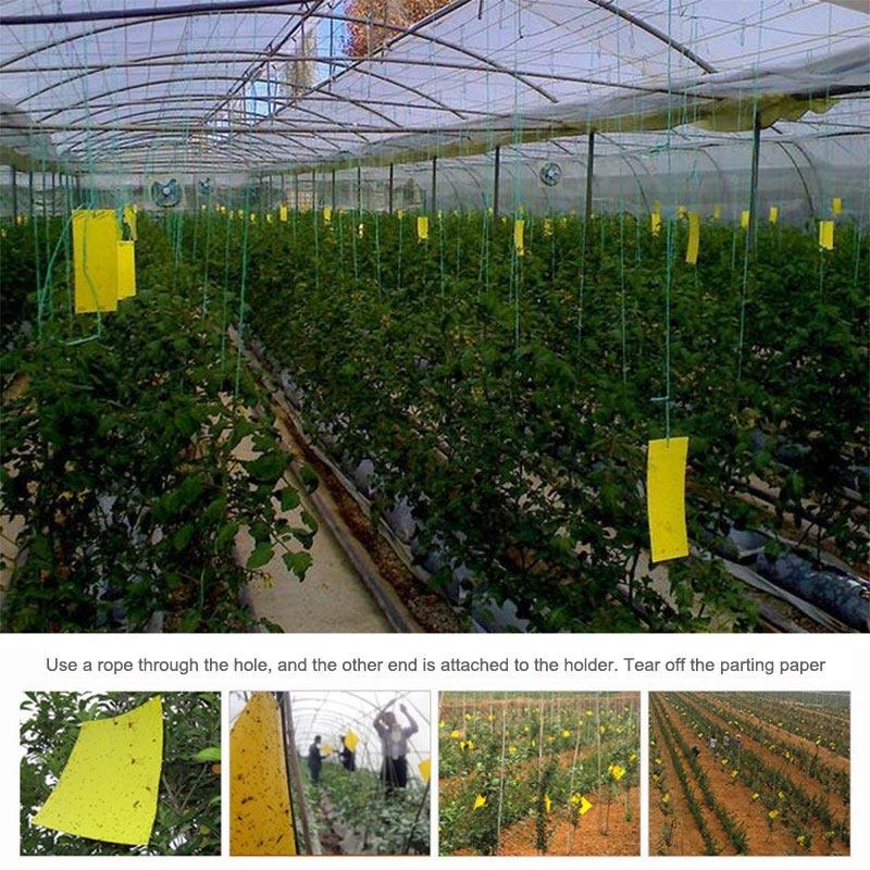 Neue 5 Stück zweiseitige Klebeaufkleber zum Aufhängen von Fliegenfalle-Fängern, Insektenvernichter, Pest für Balkongarde