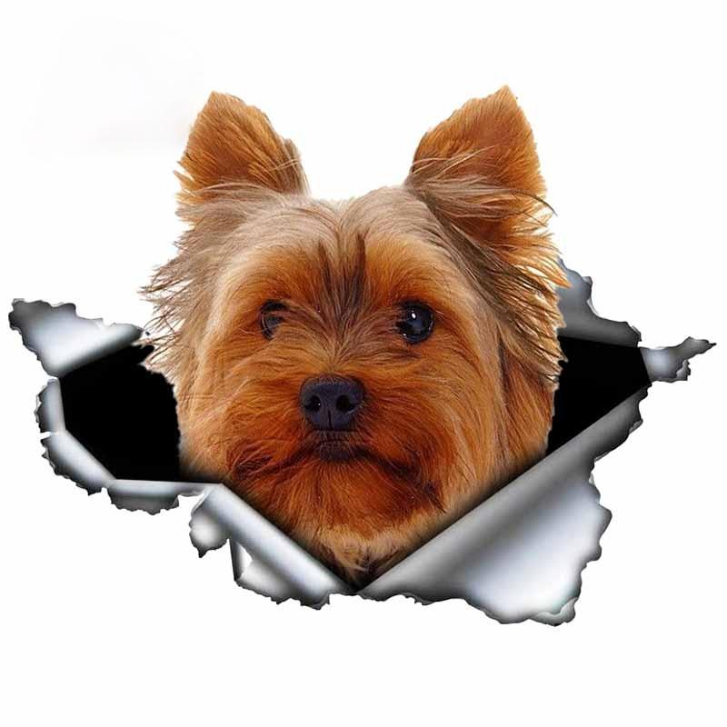 LYKX Yorkshire Terrier Pet Dog Styling Personality Sticker Torn Metal Vinyl Decal Animal Car Stickers Window Bumper