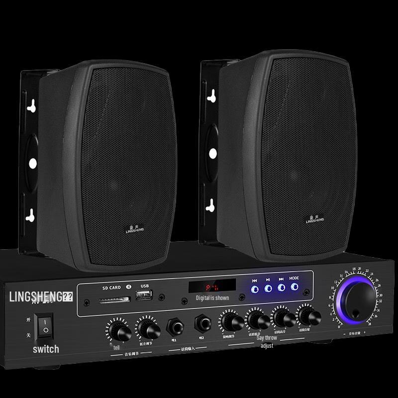 LINGSHENG Home Theater Karaoke System with Integrated Amplifier