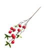 Branch Fruit Hawthorn Hotel Landing Flower Arrangement Decoration Photography