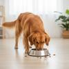 PetJet Stainless Steel Metal Bowl, Non-slip, Rubber, 400 Ml