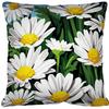 Kit Cushion Canvas Daisies