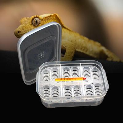 Reptielen Eierbak Incubator DIY met Eieren 12 Vakjes Container voor Uitbroeden Huisdier