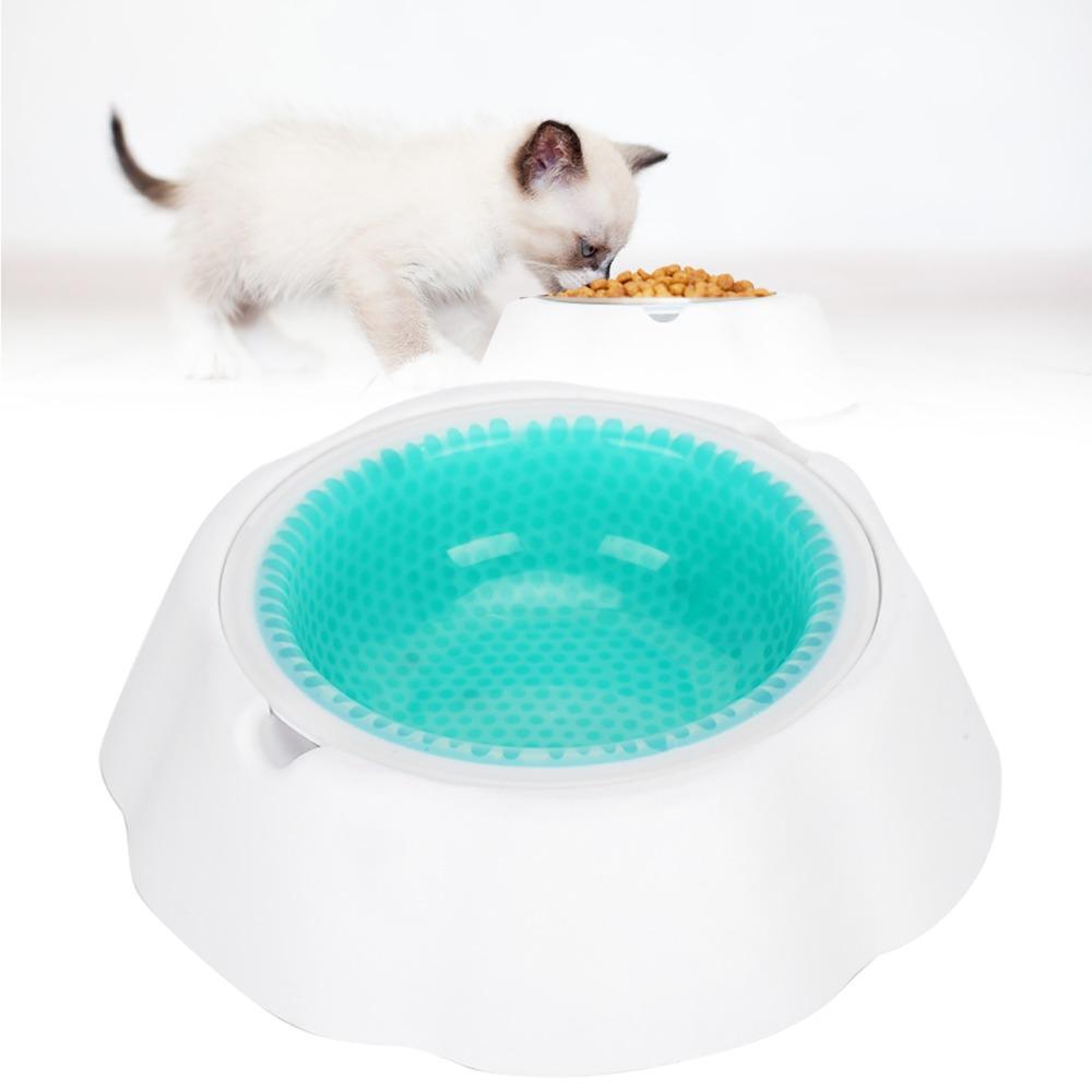 Double Wall Cooling Pet Bowl Summer Pet Water Bowl  Warm Weather Care