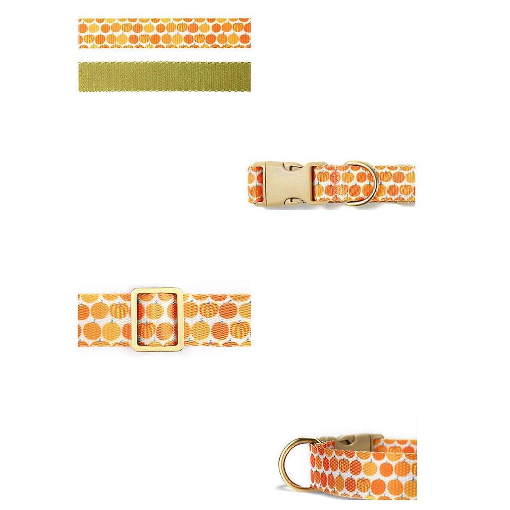 Dog Collar Lovely Pumpkin Leash for Large Medium Dogs Harnesses Strong Harvest Theme Leash Long Belt Halloween Theme XS