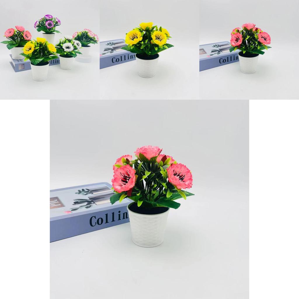 Peony Bloom Mini Potted Arrangement For Indoor Decor And Photo Studio