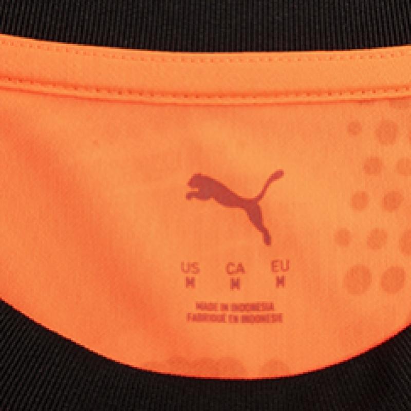 Puma Long Sleeve Team Target Goalkeeper Jersey 70651901