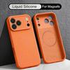 For iPhone 17 Pro Max Case Magnetic For Magsafe Liquid Silicone Soft Cover Coque For iPhone 16 15 14 13 Pro Max 17E 16E