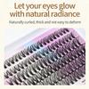 Wispy Style False Eyelashes Bond and Seal DIY Lash Extension Kit  Eye Lash Extension