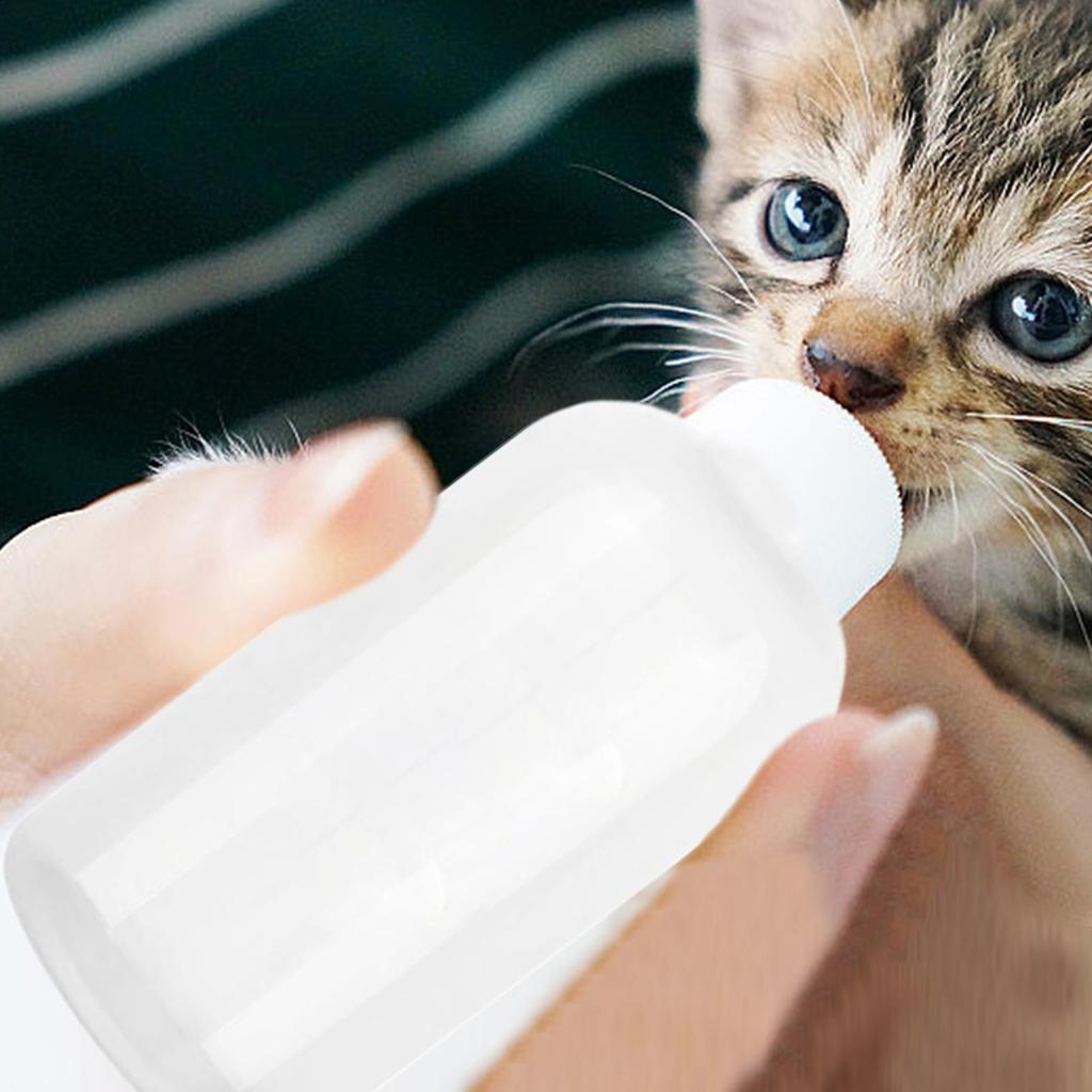 Kitten Feeding Bottle 120ml Pet Feeder Container Newborns Pets Puppy Feeding Pacifier Bottles For Walking Kitten Rabbits Hamster