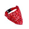 Best Selling Adjustable Cat Bandana & Pet Snood with Quantity Discounts