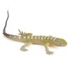 Lizard Toy, 12-Piece Set of Wooden Lizards, Small Animal Toys, Educational Props, Tools, Lizard Toy Set, Kids Toy Set, Animal Model Set