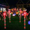 Glow in The Dark Bat Figures Solar Halloween Garden Lights, Realistic Skeleton Pathway Decor, Waterproof LED Spooky Stickers for Windows Stake