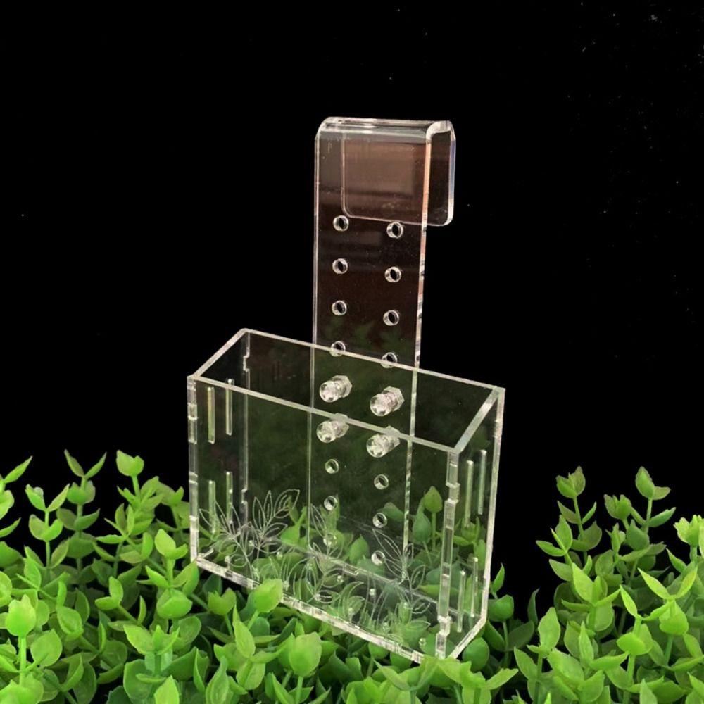 Wall Hanging Aquarium Plants Cup Transparent Floating Aquatic Planter Holder Acrylic With Suction Cups Fish Tank Planting Cup