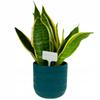 Gardenline Komplet 25 Tabliczek Do Opisywania Roślin 13,5X5,5Cm Z Ołówkiem Eva2734
