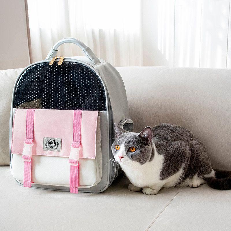 

New Arrival Cat Bag Pet Outing Casual Backpack Puppy Dog Translucent Mesh Large Capacity All Year Round Pet Supplies L-Large Pink