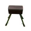 Longchan Gymnastics Pommel Horse
