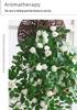 Artificial Rose Flower Vine for Wall & Pipe Decoration In Living Rooms, Malls & Courtyards