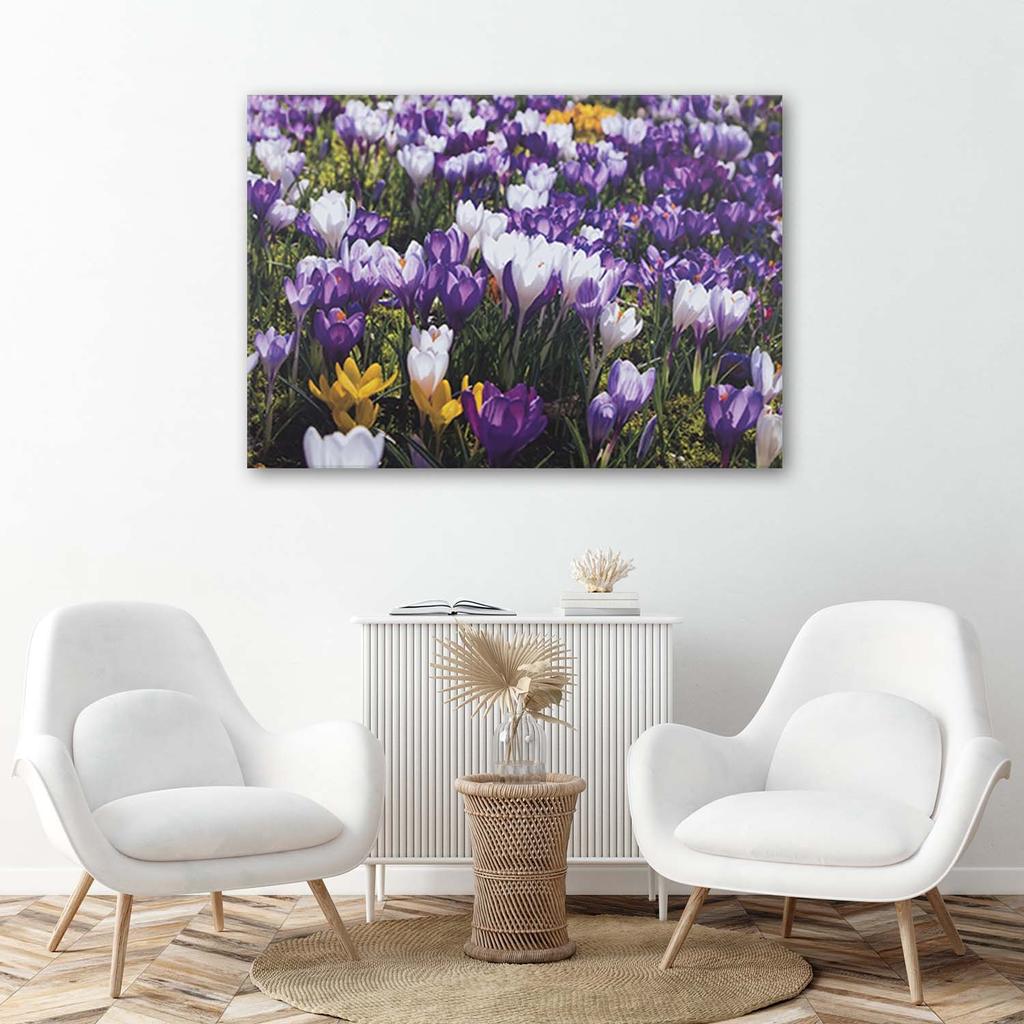 Leinwandbild Krokus-Blumenwiese Natur