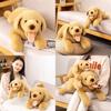 Soft And Cuddly Labrador Dog Plush Toy Realistic Stuffed Animal Pillow For Kids