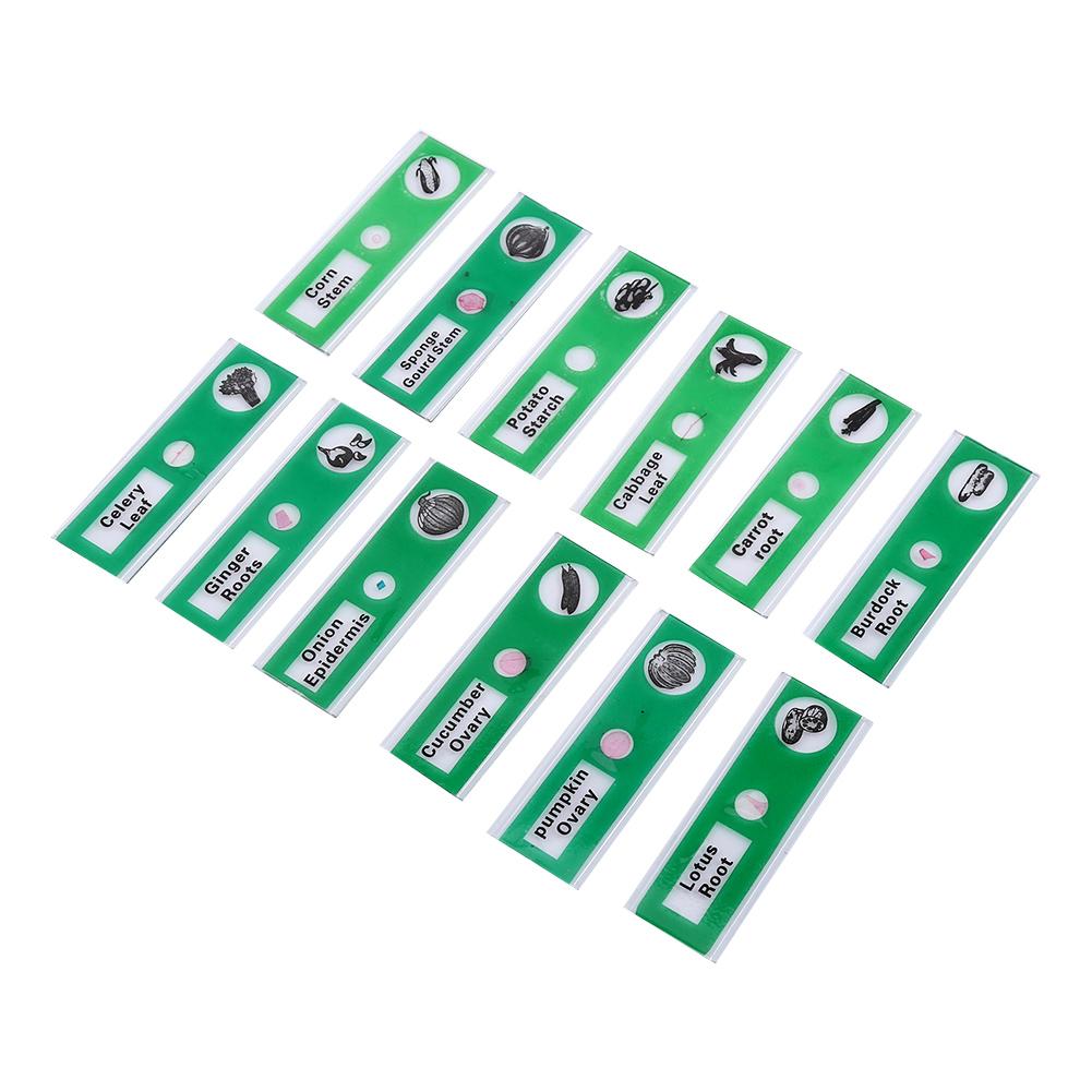 12pcs Plastic Prepared Microscope Slides Animals Insects Flowers Plants Red box