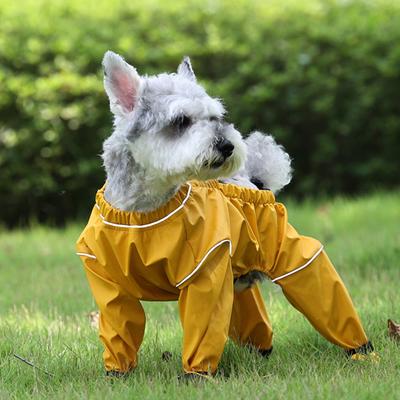 Giyim ve ayakkabı – Köpek ayakkabıları