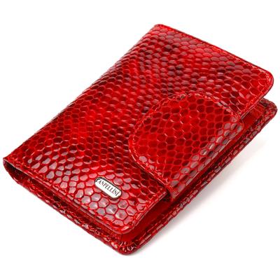 Cartera de mujer charol fabricada en piel auténtica con estampado de serpiente CANPELLINI Wallet 21682 Rojo