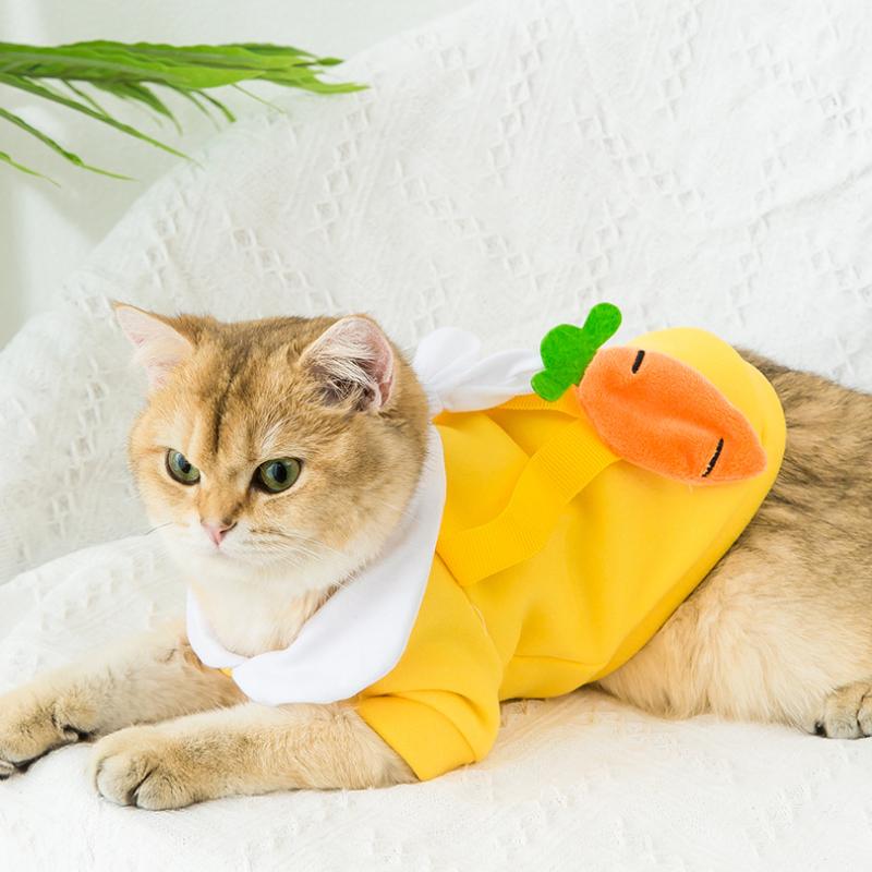 Cat Clothes Autumn and Winter Warm Two-legged Sweatshirt Anti-fall Hair Muppet Satchel Small Dogs Dog Pet Clothing