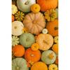 Terracotta Fall Pumpkin Canvas Gallery Wall Prints Autumn Maple Leaf Wheat Wall Art Farmhouse Thanksgiving Home Decor Gift