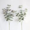Home Decoration Supplies Simulation Green Plant Money Eucalyptus Leaves Flower Arrangement Home Decorations Wedding Leaves