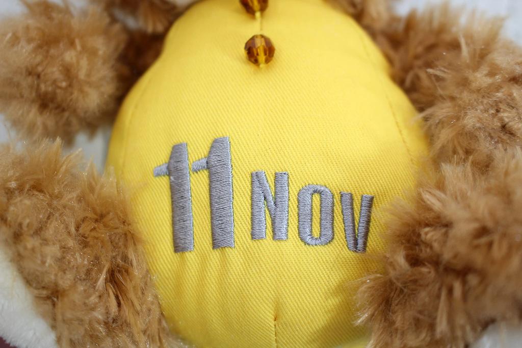 Takeoff Plush Toy BEAR'S365 November Brown