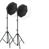 2200WS Super Bright Spherical Fill Light for Live Beauty, Photography, and Indoor Clothing Shoots