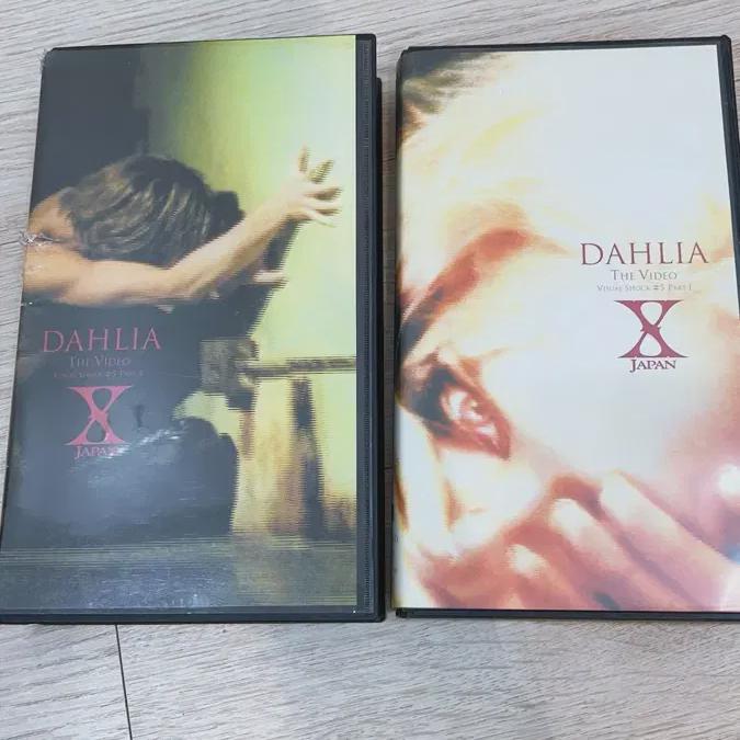 

X Japan Video Dahlia - The Video Chapter 2