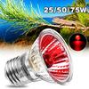 Beauty Decor UVB Amphibians Reptiles Bulbs Snake Light UVA Bird Emitter Warming Heating Lamp