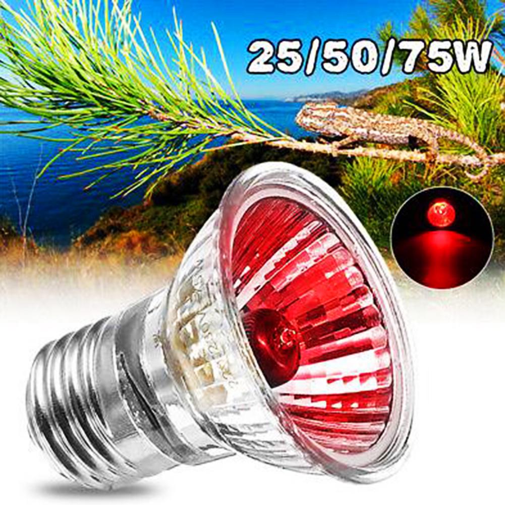 Beauty Decor UVB Amphibians Reptiles Bulbs Snake Light UVA Bird Emitter Warming Heating Lamp