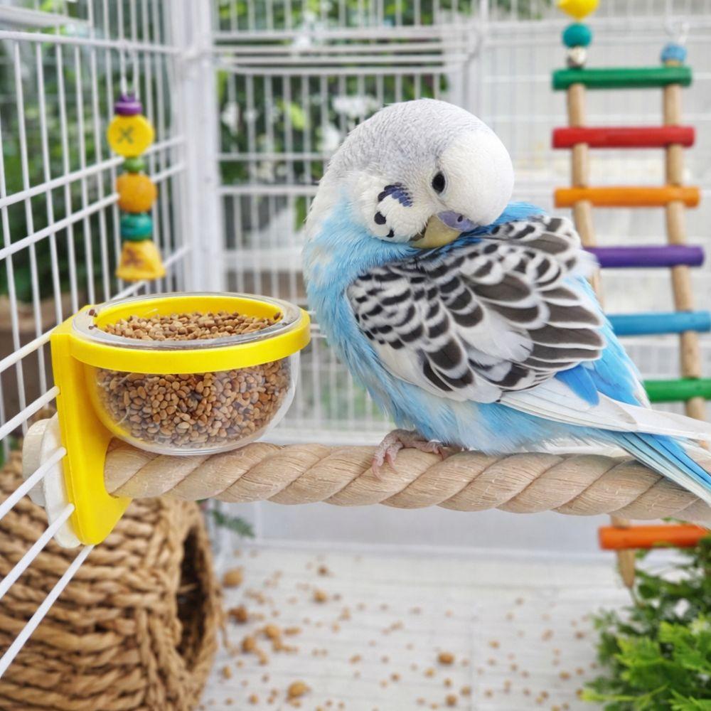 Interactive Bird Cage Feeder Wear-resistant Bird Perch Stand Parrot Wood Perch Exercise