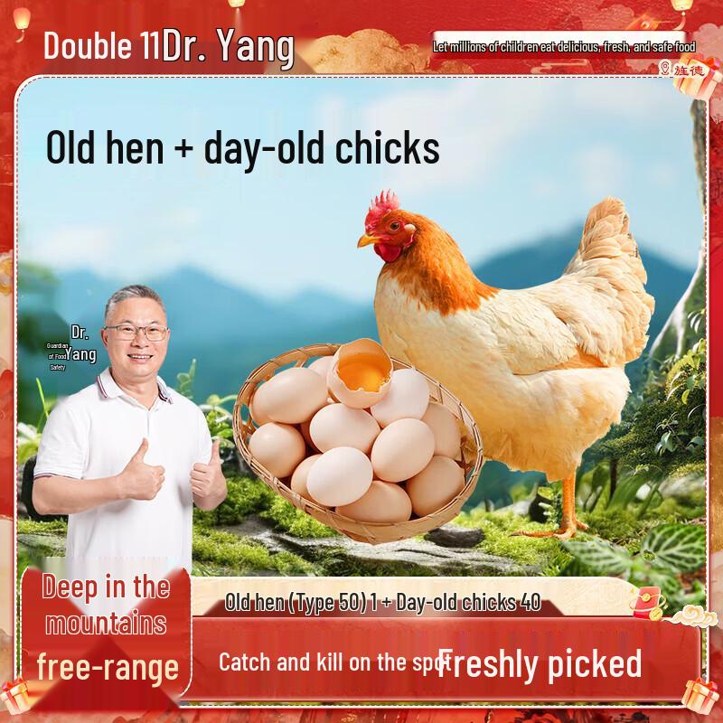 Dr. Yang s Free-Range Hen & Fresh Egg Set