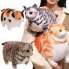 20/35/50cm Lovely Chubby Cat Plush Toys Cute Orange Cat Tabby Cat Plushie Pillow Creative Birthday Christmas Gift
