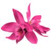 Hawaii Colourful Hair Clip Flower Hairpin Double Orchid Hair Clips Children's Hair Accessories for Women and Girls